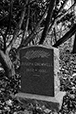 At Rest 31
